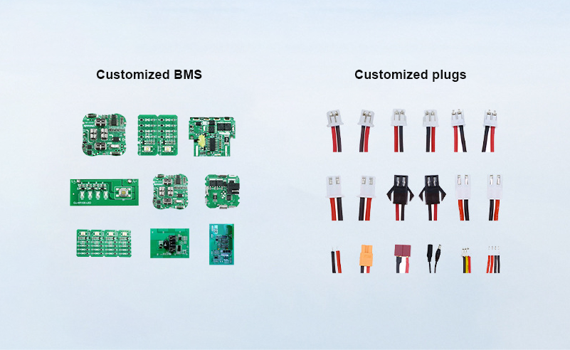 Customized BMS and plugs.png